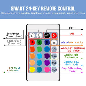 RGB Neon Light E27 Rainbow Lamp 220V LED Colorful Bulb With IR Remote Control 20W 25W LED Holiday Decoration