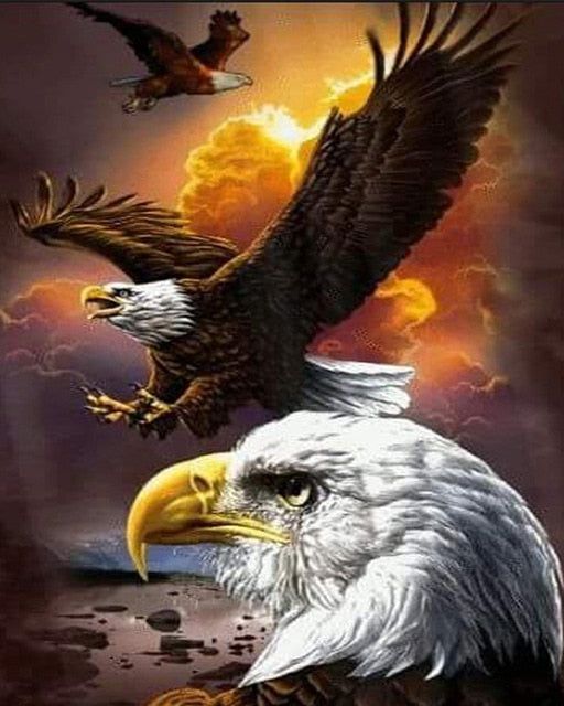 Eagles in the Sky Diamond Painting Kit DIY Diamond Full Drill Square Diamonds Arts Crafts Embroidery Paintings Home Décor