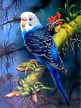 Load image into Gallery viewer, Animal 5D Diamond Painting Kit AB Drills Kits for Adults DIY Parrot Mosaic Cross Stitch Pattern Handmade Embroidery Kits Wall Décor
