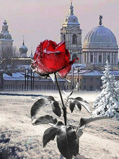 Red Rose in Winter 5D Diamond Painting Kits Square Acrylic Diamonds Embroidery Cross Stitch for Men or Women Décor