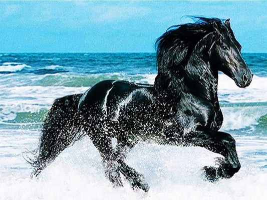 Sale DIY Black Horse Stallion 5D Diamond Painting Full Square Diamond Embroidery Animals Rhinestone Painting Home Decoration Mosaic