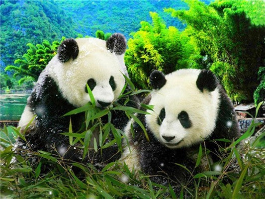 5D Diamond Painting Pandas DIY Full Square Drill Animals Diamond Embroidery Cross Stitch Kit Home Decoration Art