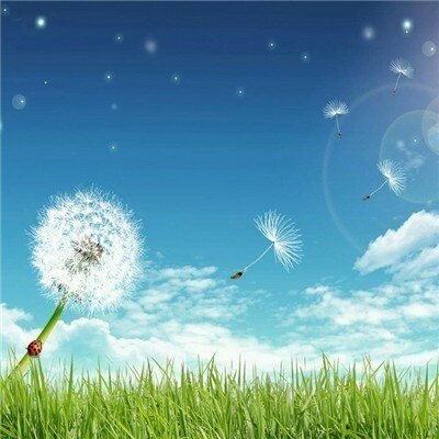 Dandelion 5D DIY Diamond Painting Full Square Round Drill Green Grass Diamond Cross Stitch Embroidery Rhinestone Decor