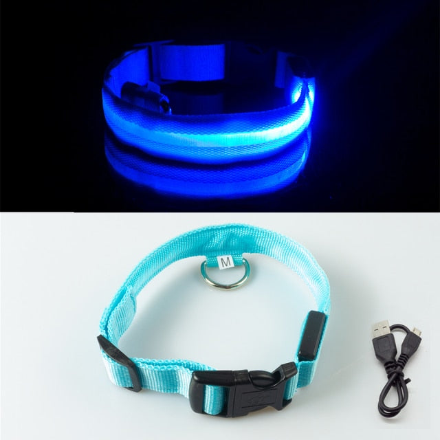 Battery Operated Led Dog Safety Collar Anti-Lost Pet Avoid Car Accidents Collar For Dogs Puppies Light-up Dog Collars Leads LED Pet Supplies Products